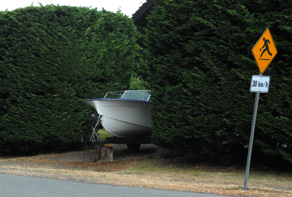 boat-hedge2web
