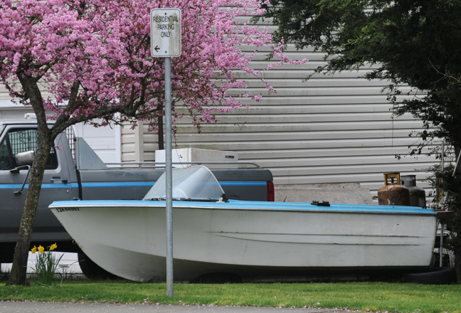 web31410 blossomsboat